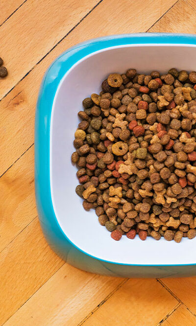 10 dog food deals to check out this Black Friday