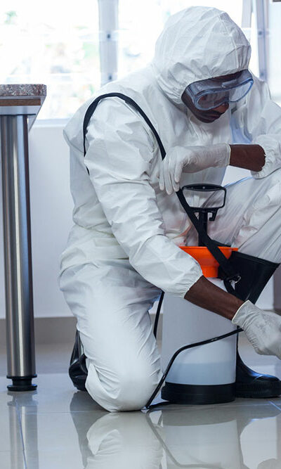 7 common pest control mistakes to avoid