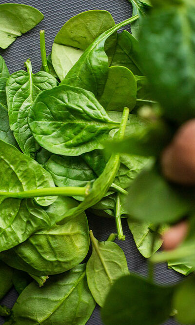 7 foods that help fight against Bronchitis