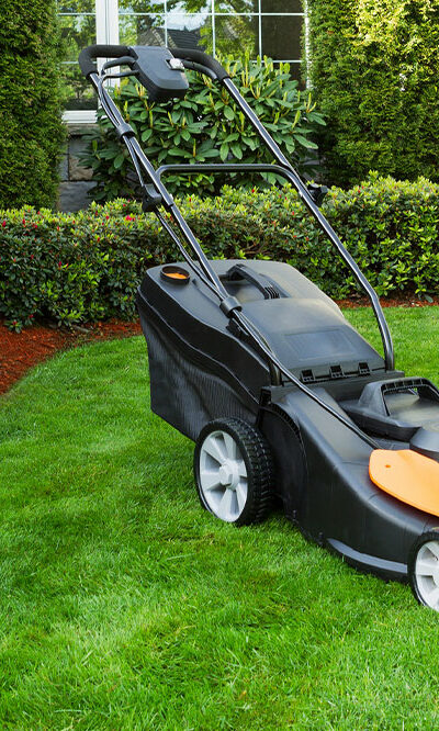 7 Tips For Maintaining a Lush Green Lawn