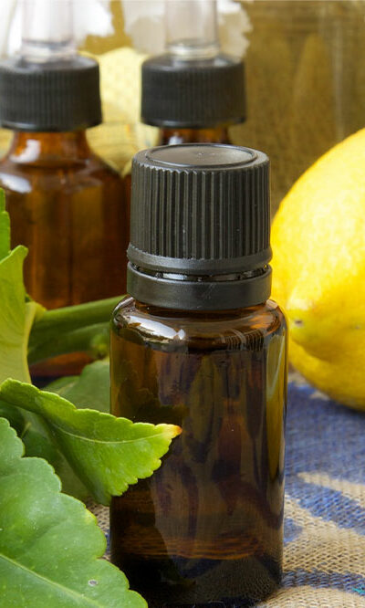 8 natural scents that repel mosquitos