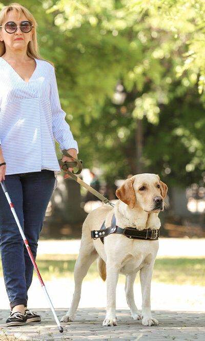 Emotional support animals – Benefits and things to consider