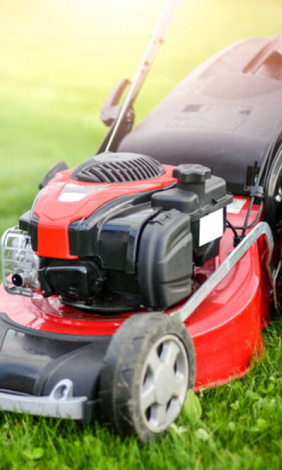 Top 6 lawn mowers to buy